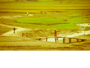 Bangladesh rural scene